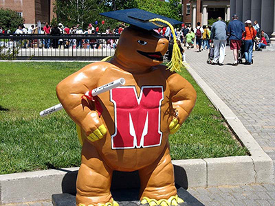 Testudo in cap