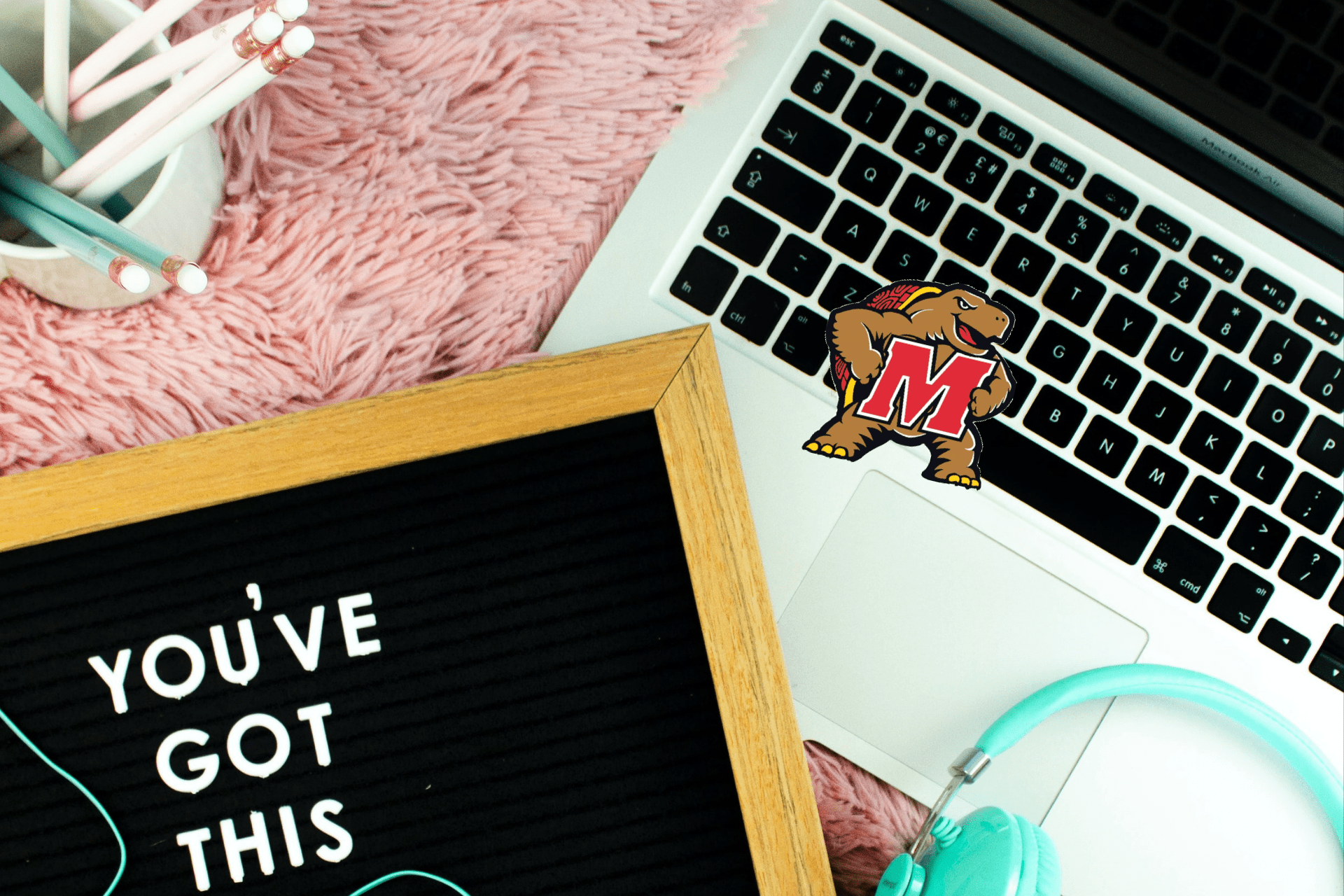 laptop, terp sticker and you've got this sign 